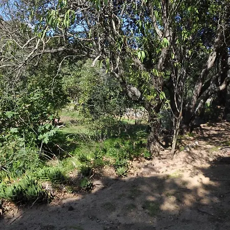 2ba Domaine Malacucina * לומיו