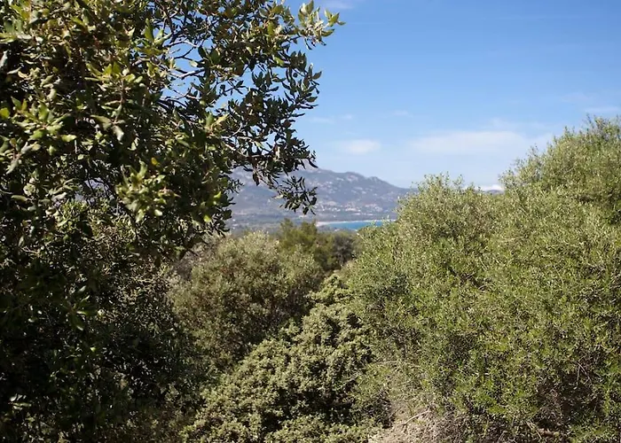 Vakantiehuis 2ba Domaine Malacucina *