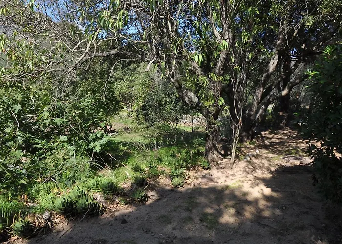 2ba Domaine Malacucina * Lumio (Corsica)